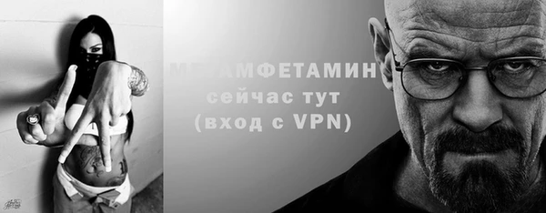 шишки Няндома