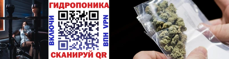 закладка  omg онион  Каннабис гибрид  Карабаново 